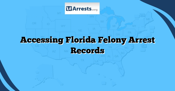 Accessing Florida Felony Arrest Records